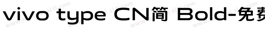 vivo type CN简 Bold字体转换